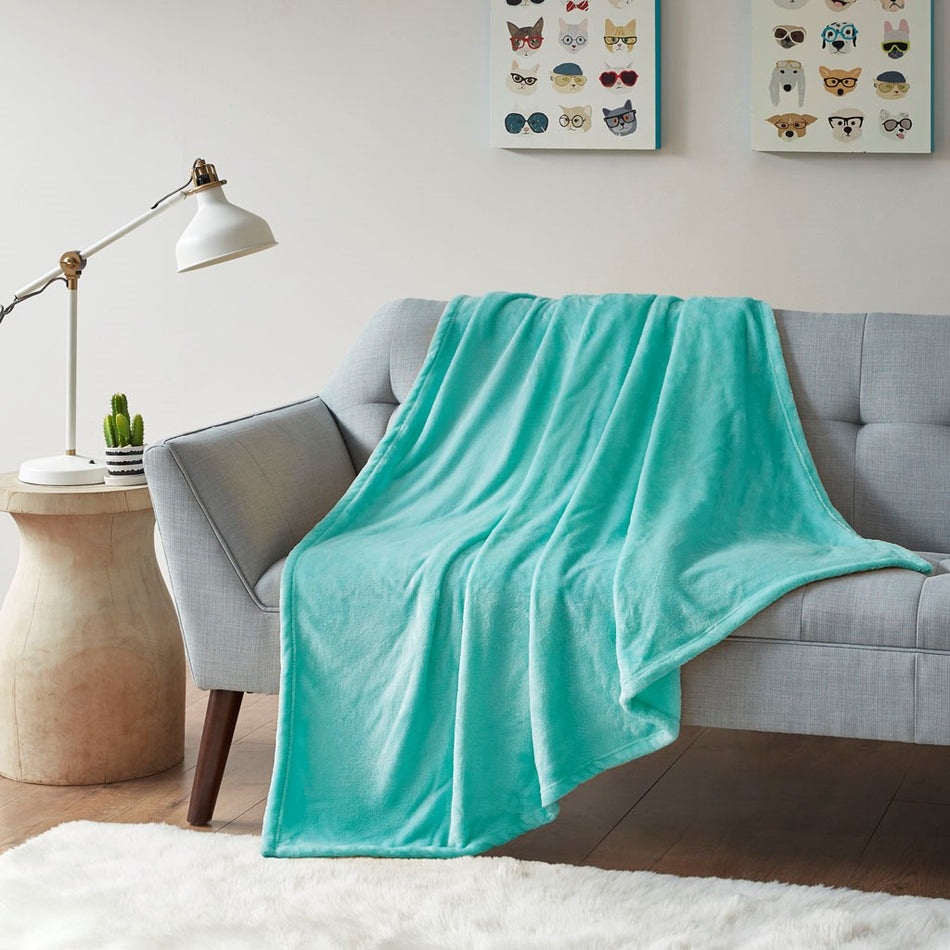 Intelligent Design Microlight Plush Oversized Throw - Aqua - 60x70"